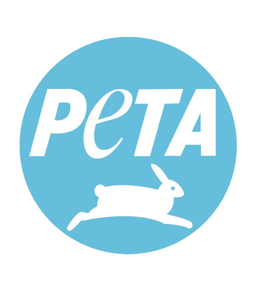 PETA's graphic drawing of an injured Umamusume character has sparked outrage, as fans say the drawing violates the game's content guidelines

“If Umamusume were honest, your favorite horse girl doesn’t get a comeback arc”