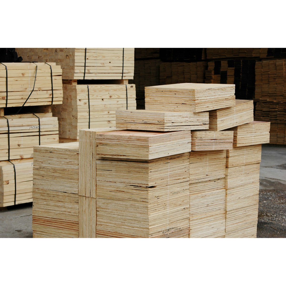 buckmag's tweet image. Pile cushions play a vital role in concrete pile driving, efficiently transferring driving hammer force to the pile while absorbing impact and minimizing damage. Call 800-856-6679 today for a quote!
#PileBuck #PileDriving #DeepFoundations