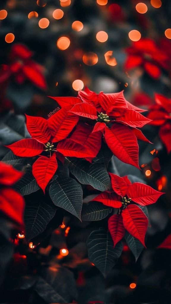 OMarlene tweet media