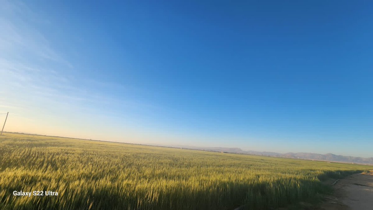 الصور ليست من أستراليا، بل من صحراء الجوف.