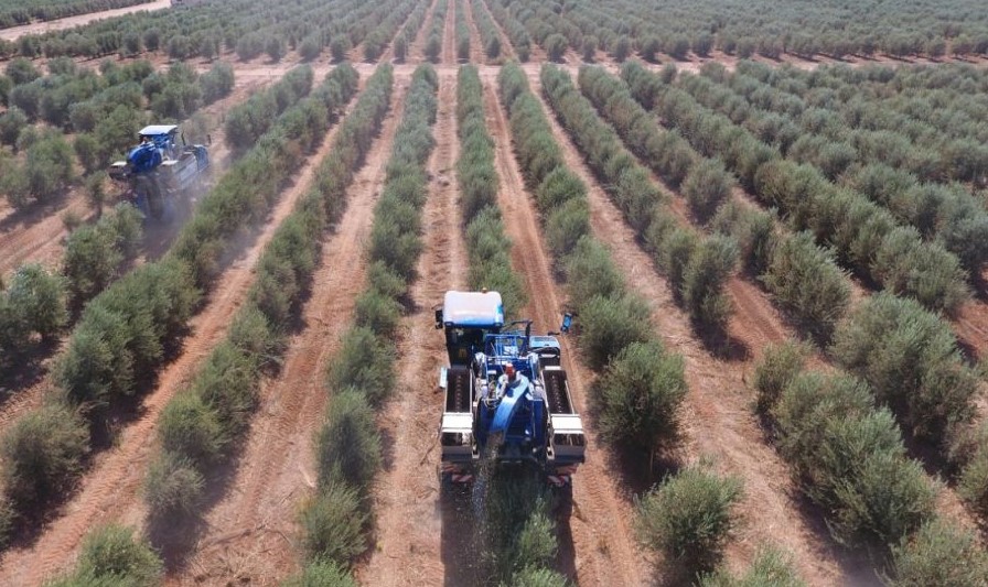 عاجل | يدرس صندوق التنمية الزراعية السعودي 4 أو 5 طلبات لإنشاء مشاريع لحوم إستراتيجية كبرى في السعودية، لتعزيز الأمن الغذائي وباستثمارات ضخمة يجري تقييمها بدقة قبل اعتمادها، فيما سيتم الإعلان عنها فور اكتمال الموافقات النهائية وتوقيع الاتفاقات، وفق ما ذكره لـ"الاقتصادية" رئيس الائتمان التنفيذي في الصندوق بدر المالك - أكد أن جميع الطلبات الحالية مقدمة من شركات محلية - لا مانع من دراسة مشاريع خارجية لشركات مؤهلة شريطة توافقها مع سياساتنا للإقراض. algharbi1. lamis_m28 