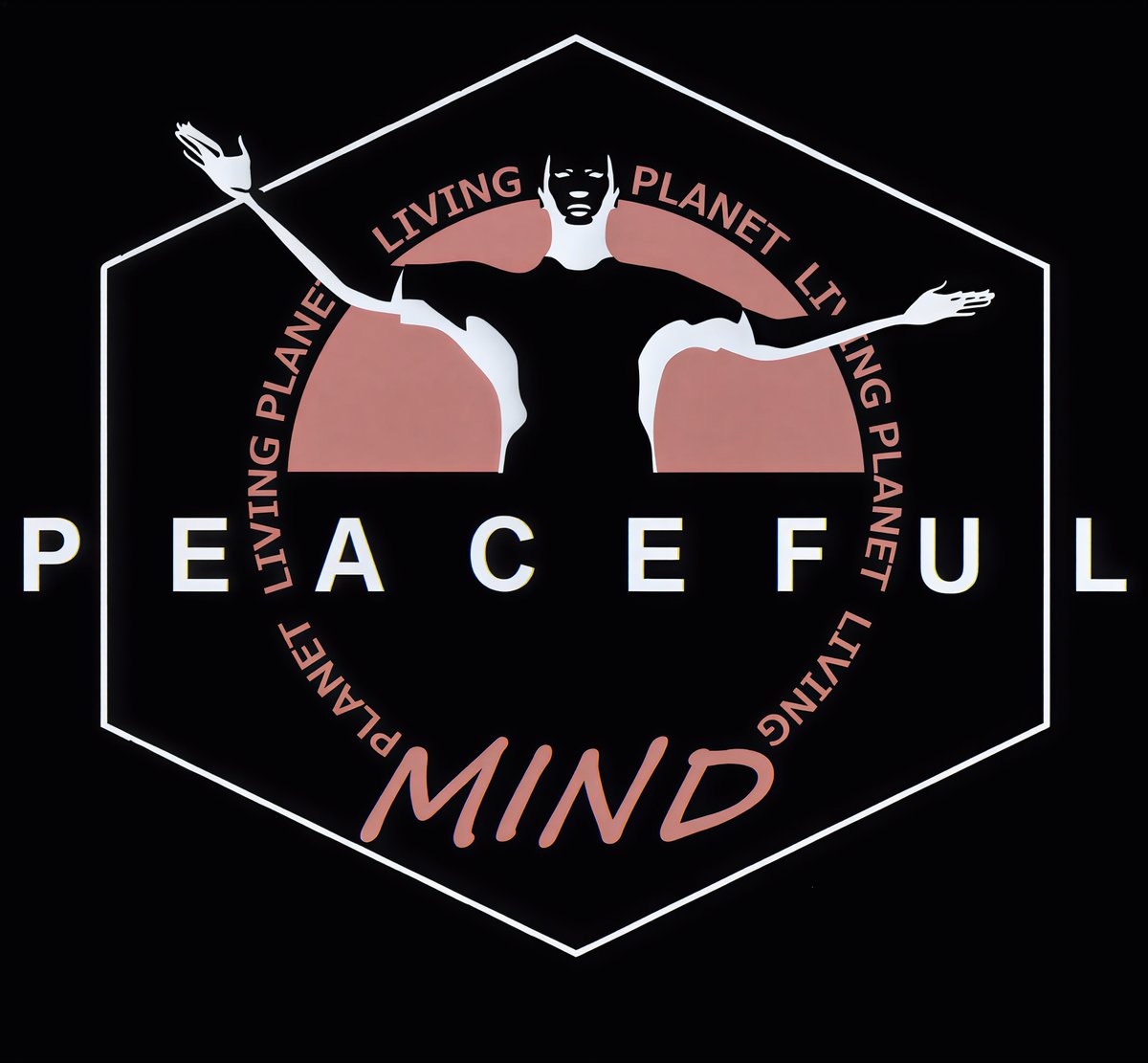 C3SARiO Network (C3N) tweet media