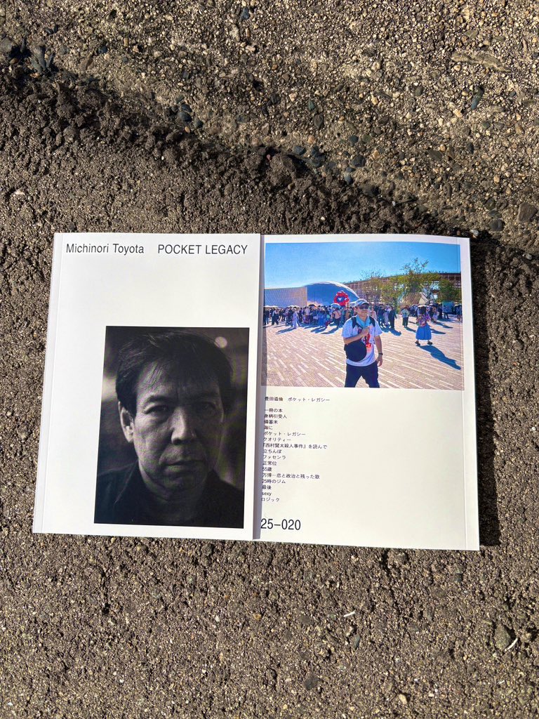 ふと、こんな個人的なことを一人で動いてやってるぼくは頭がおかしい気