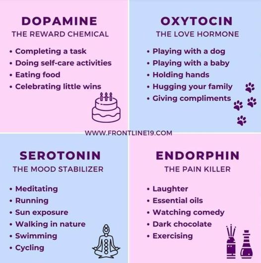 dlhampton's tweet photo. How To Easily Boost Each Happy Chemical In Your Brain https://t.co/OebzZE0EK4
You can keep the happy neurochemicals flowing in your brain with simple daily habits. Here's how to boost each one.
#brain #happy #mentalhealth #dopamine #serotonin #oxytocin #endorphin #habits #Thursdaythoughts #HealthyHabits