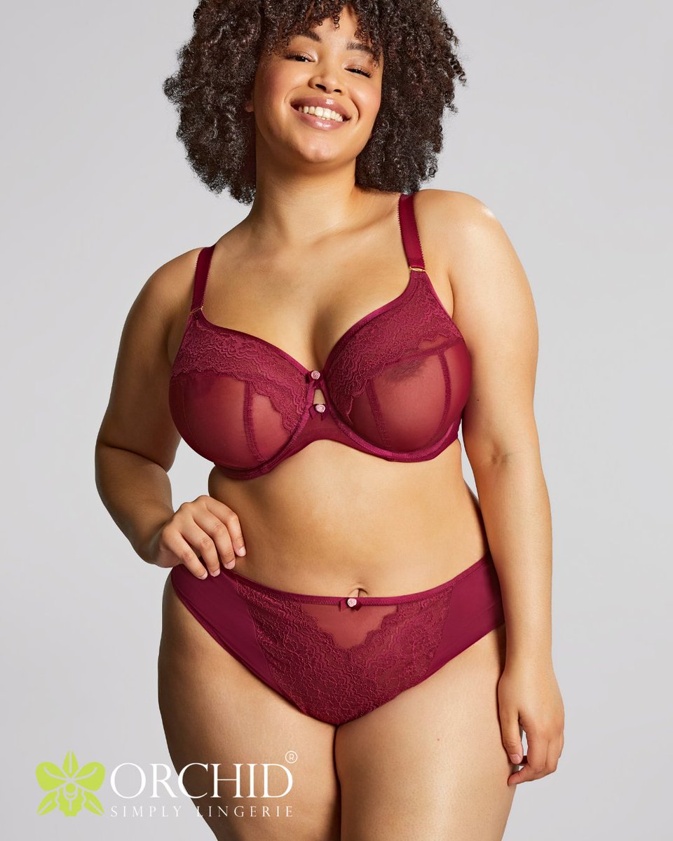 Orchid Ladies ZW tweet media