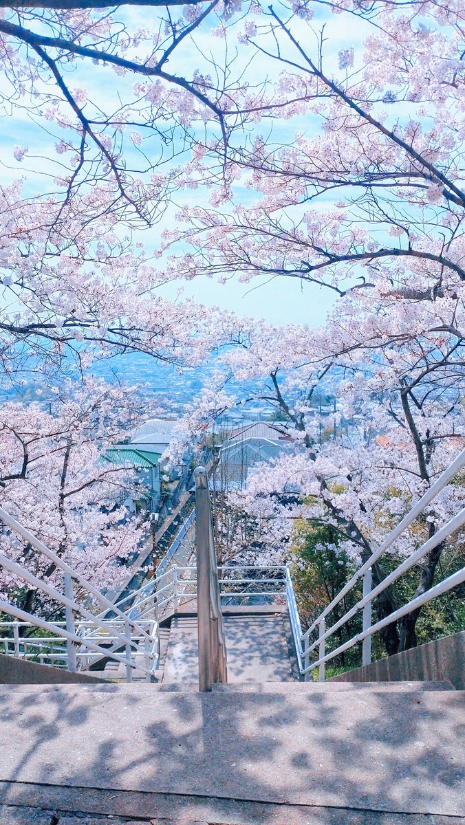 君に見せたい景色を