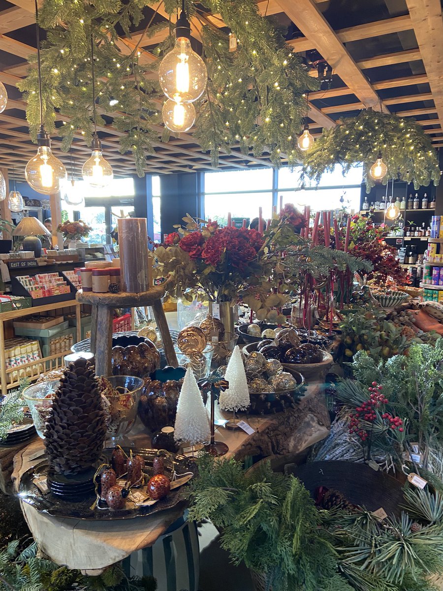 The most festive! 🎄✨