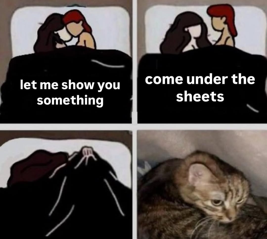 Catsillyness's tweet photo. https://t.co/QEjNCJLmYK