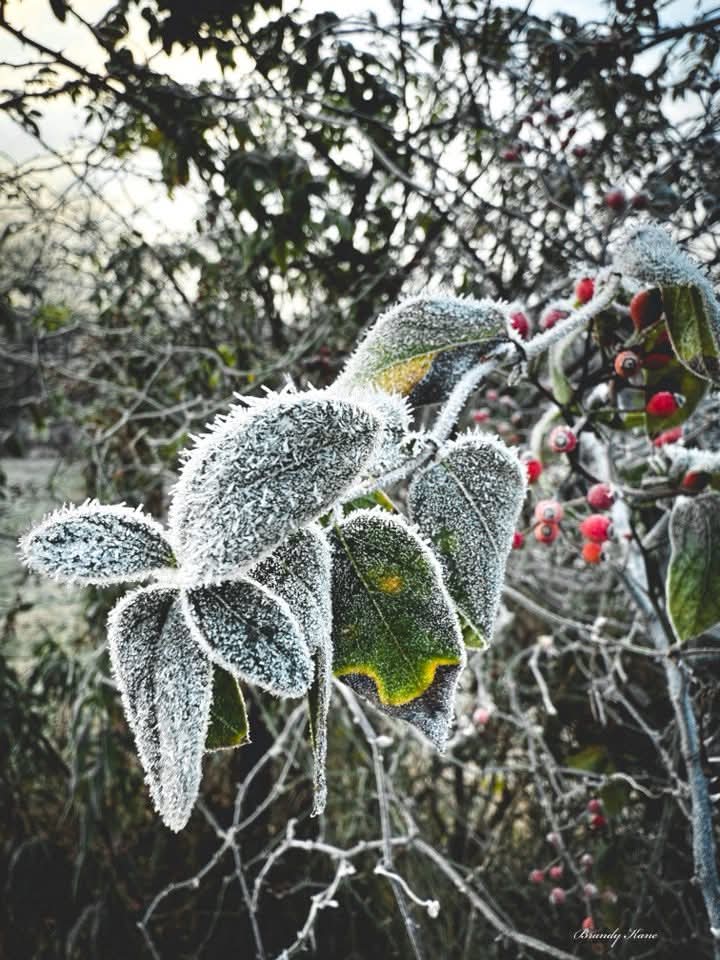 Weedhopper🦗 (@weedhopper96) on Twitter photo 