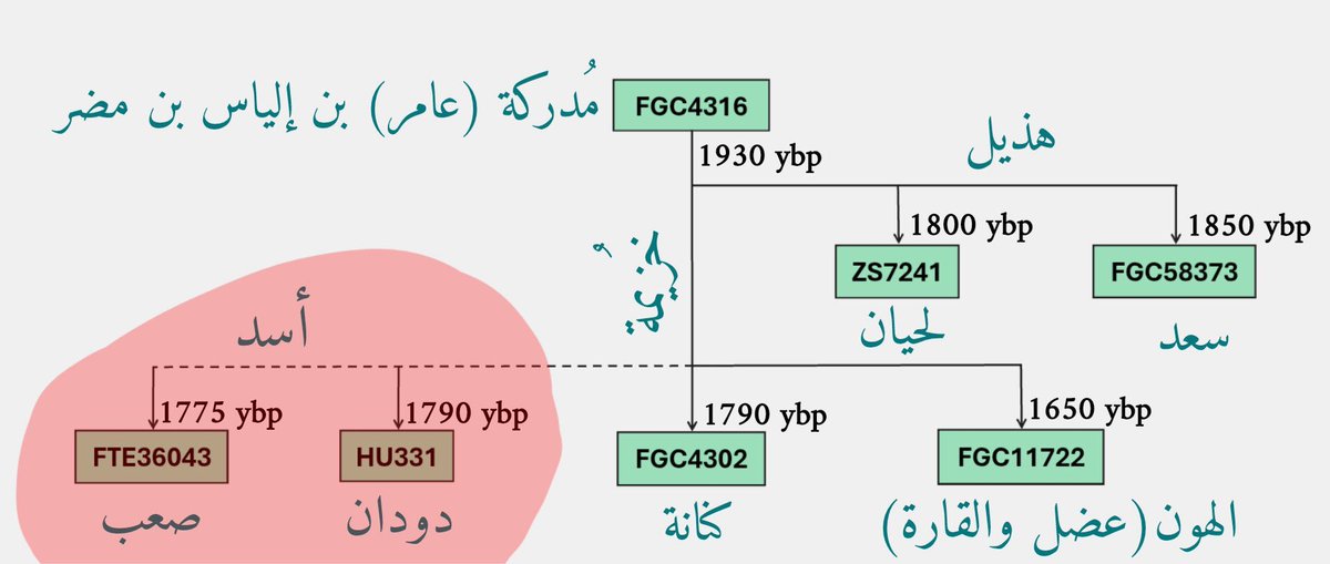 القناص | FGC7 tweet media