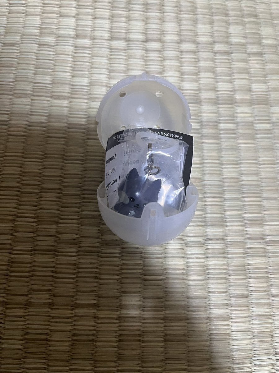 めろん tweet media