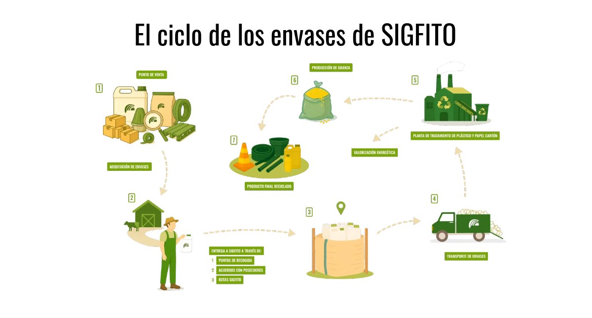 ♻️ ¿Sabías que agricultores y ganaderos llevan más de 20 años reciclando correctamente sus envases?

En SIGFITO se ha consolidado un ciclo de recogida eficiente y seguro que garantiza que los envases agrarios y ganaderos tengan un destino responsable. Un sistema que no solo