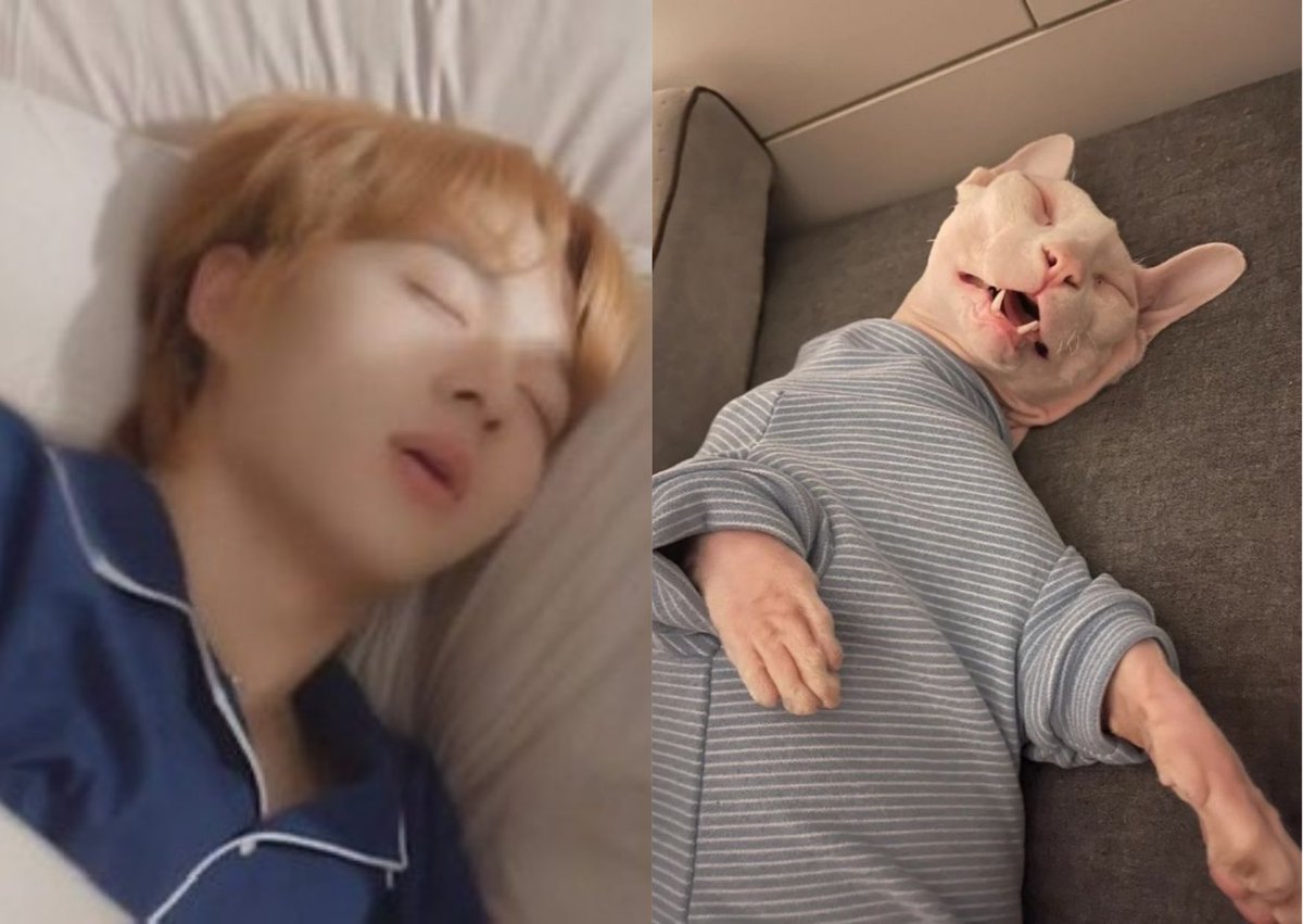 𝑮𝒊𝒏𝒖𝒂𝒓𝒚 (rest) tweet media