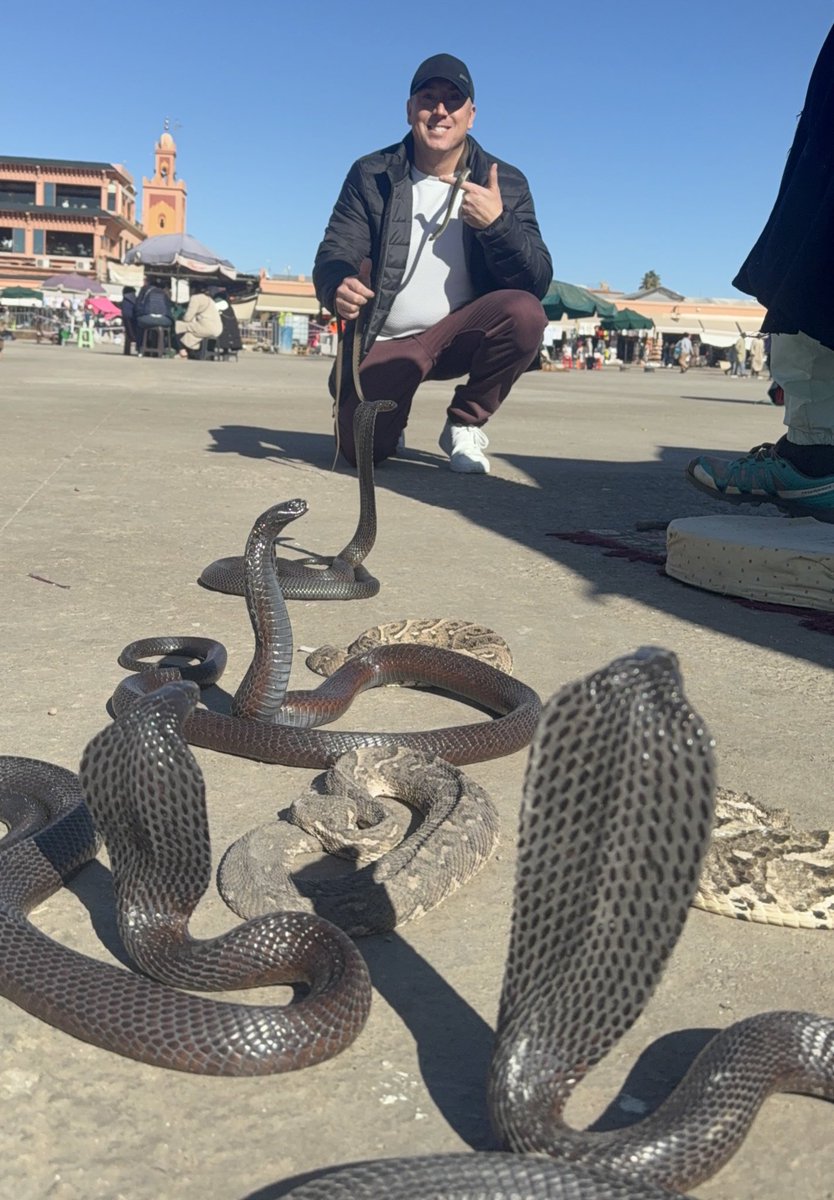 nascarcasm tweet media