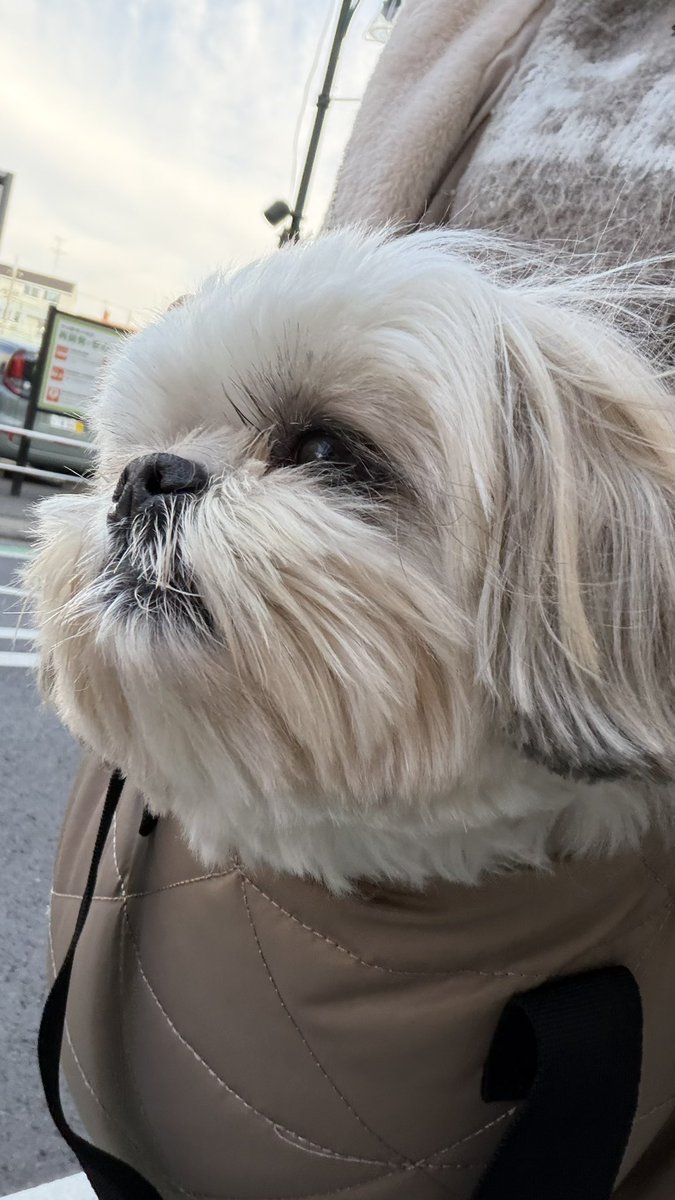 えっちゃん (@BokuEsteban) / Posts / X