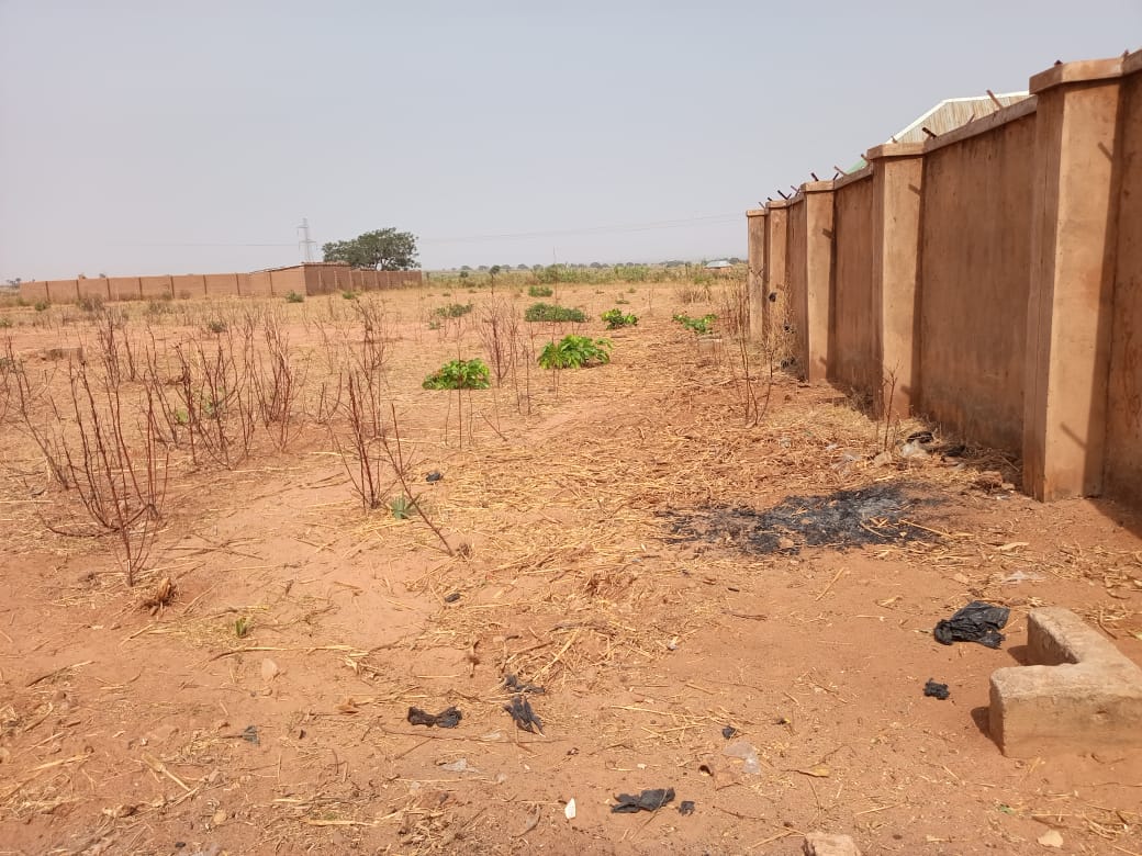 Smart_Pro_Conet's tweet photo. LAND FOR SALE | Gombe, Gombe State
Land Size: 100ft × 100ft

Location: Opposite NTA Gombe
Price: ₦3,500,000

#BuyAndBuild #PropertyListing #RealEstate #NigeriaProperty https://t.co/EkKiQdopke