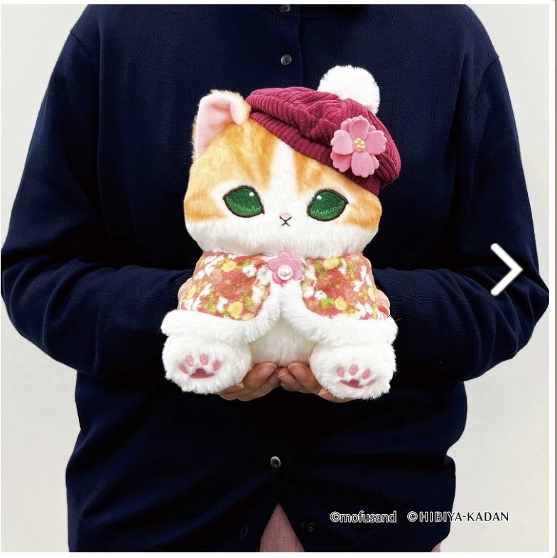 てつや (@kapo_neko) / Posts / X