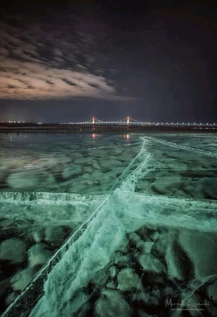 Mustang Lounge 🐴 (@mustanglounge) on Twitter photo 