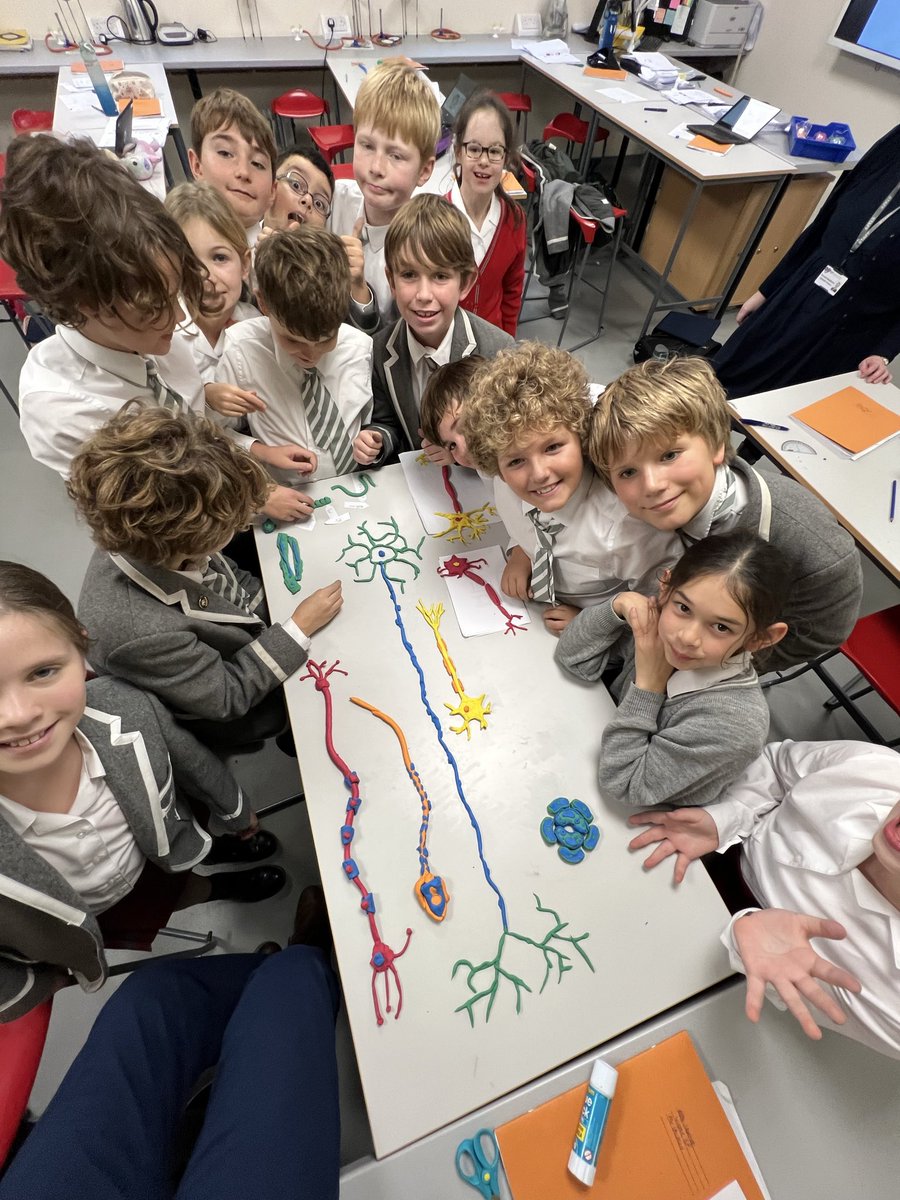 STEM | Durlston School tweet media