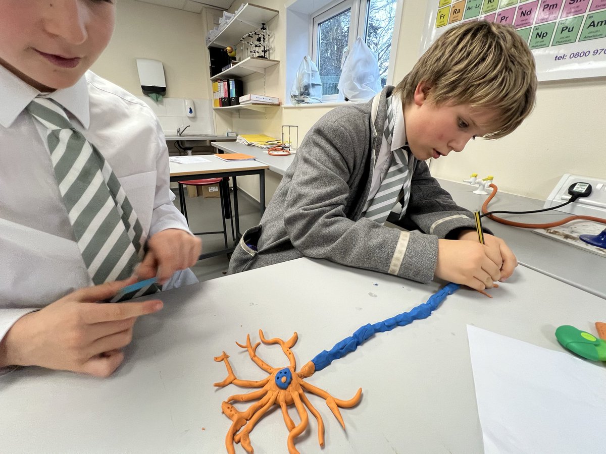 STEM | Durlston School tweet media