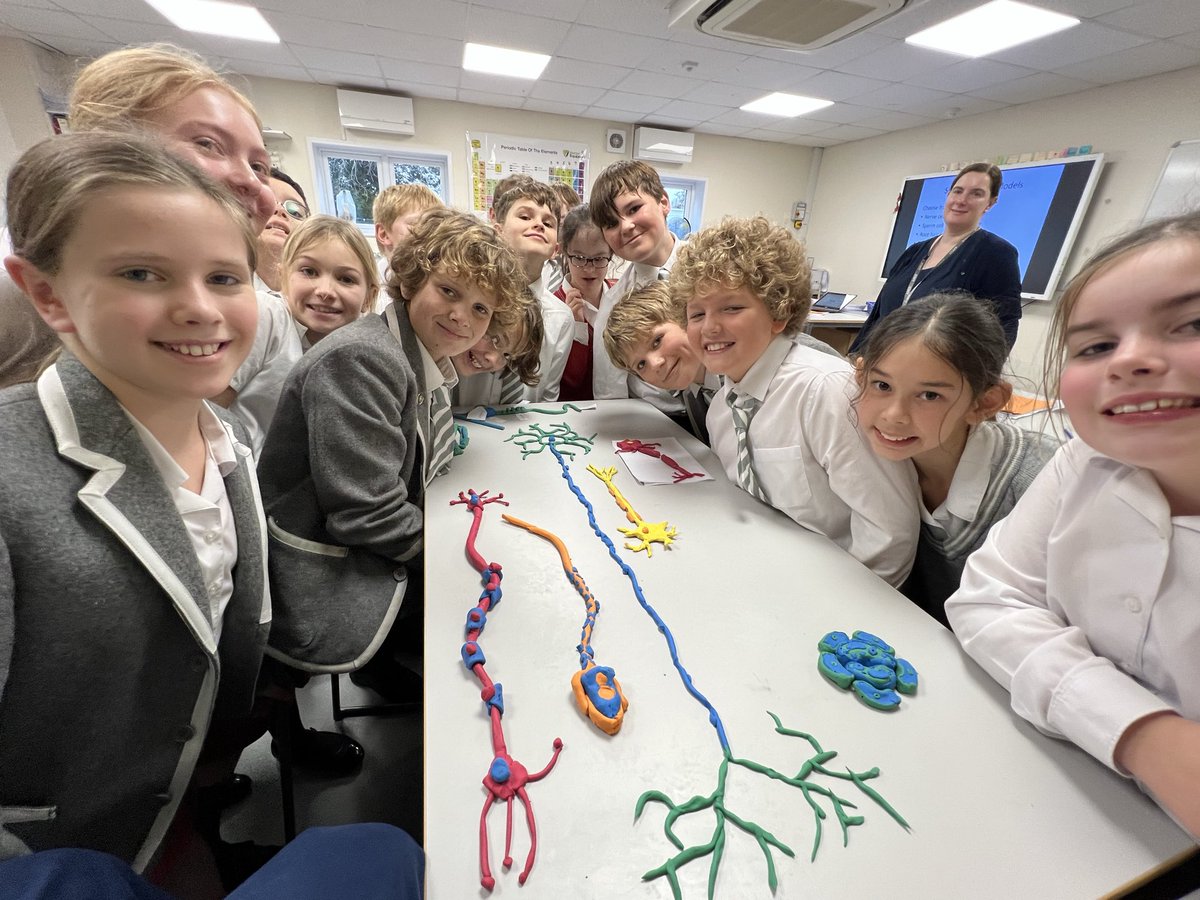 STEM | Durlston School tweet media