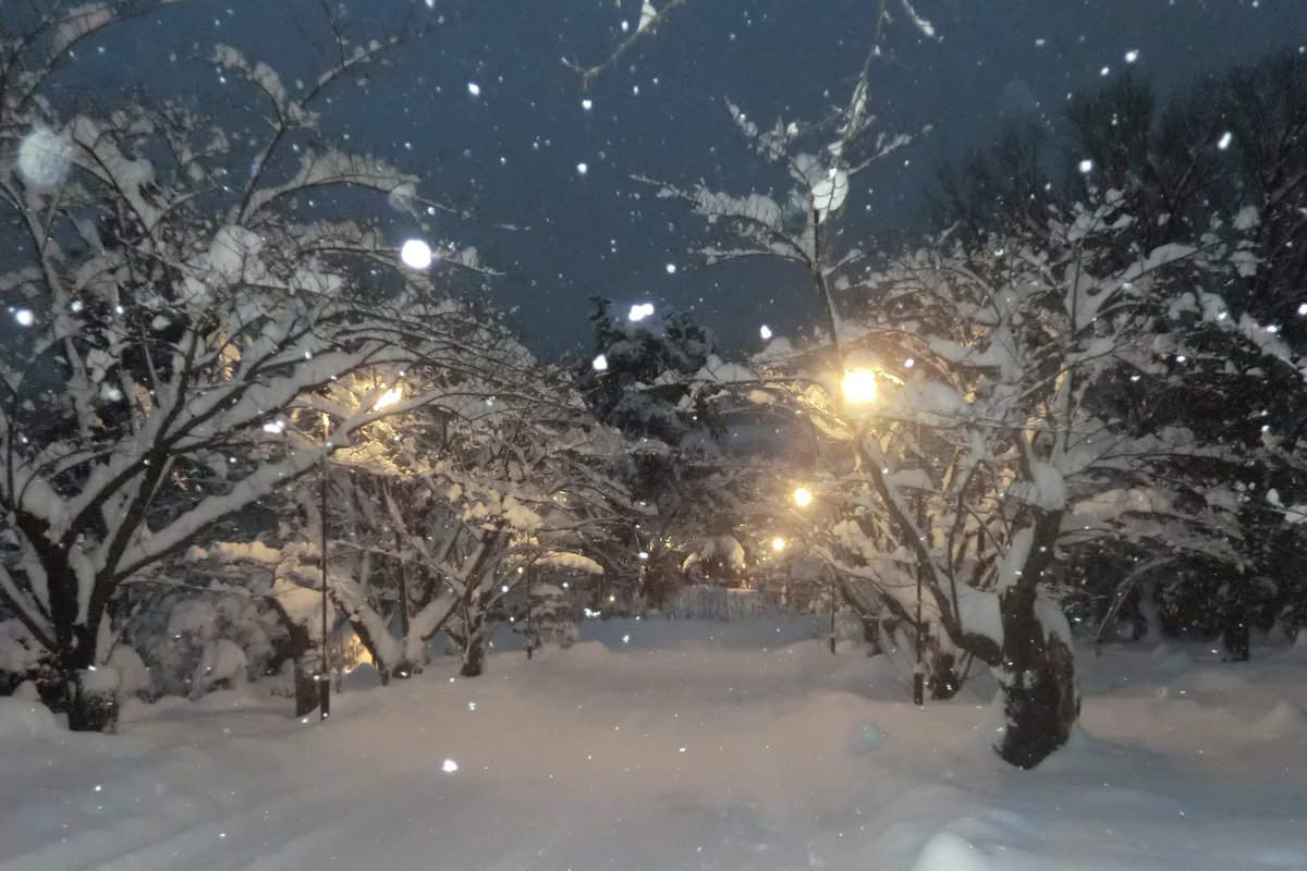 디카로 찍은 눈이 너무 좋아........