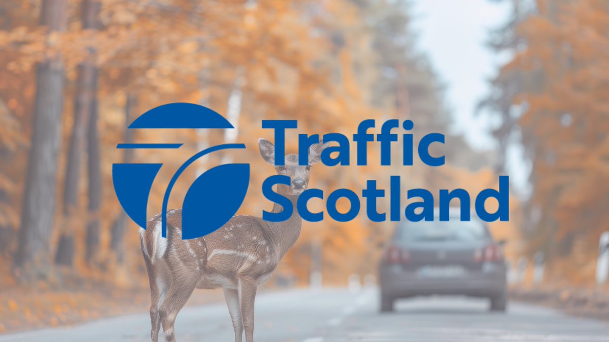 trafficscotland's tweet image. It’s deer season! 🦌 October–December brings more movement on country roads.

Slow down, stay sharp, and protect both wildlife and yourself.

#DriveSmart #RoadSafety