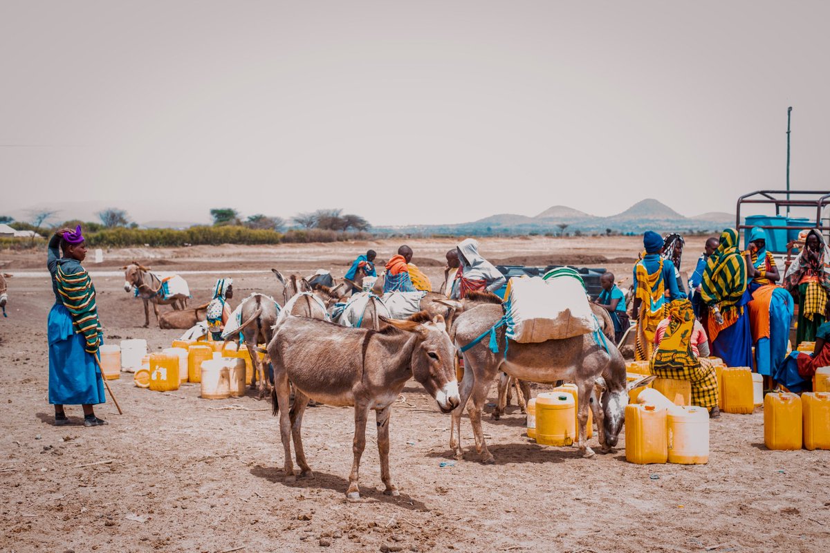 Arusha society for the protection of animals tweet media