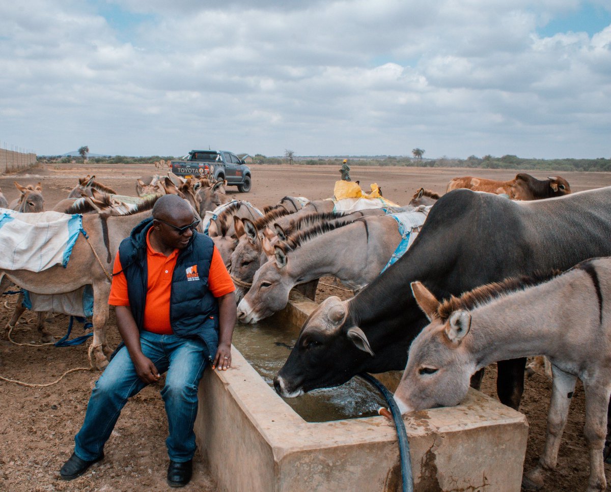 Arusha society for the protection of animals tweet media