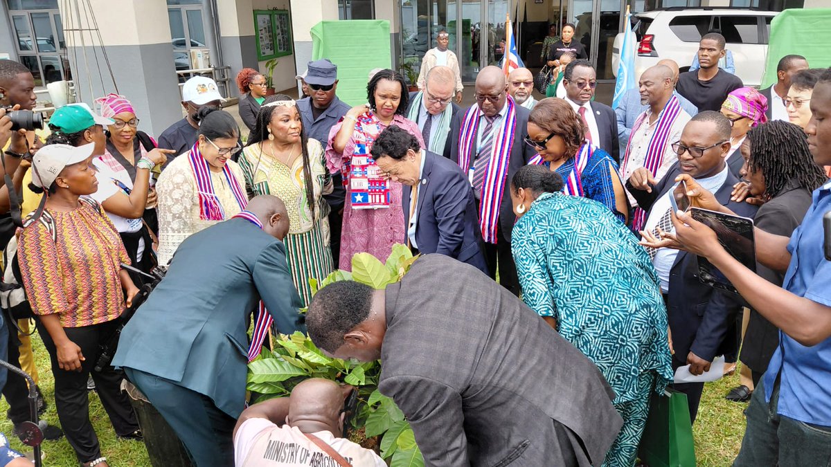 UN Liberia tweet media