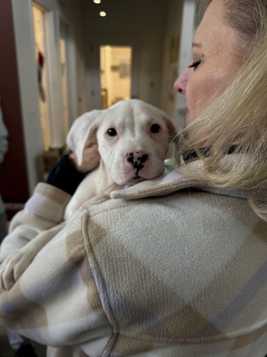 Our NA team came together to visit the Nashville Humane Association, supporting an organization that does incredible work in the community. Following that, the team went to the Grand Ole Opry for a Country Christmas concert – a great way to get into the festive swing of things!