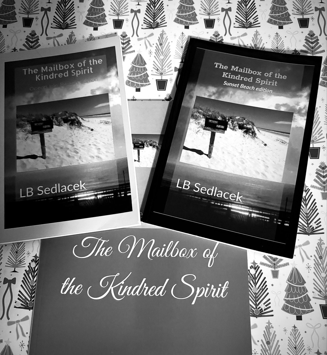 Go to the iconic mailbox for Christmas- “The Mailbox of the Kindred Spirit” (and other great selections) available at tybrisabooks.com #christmasgiftideas #books #tybrisabooks #lbsedlacek