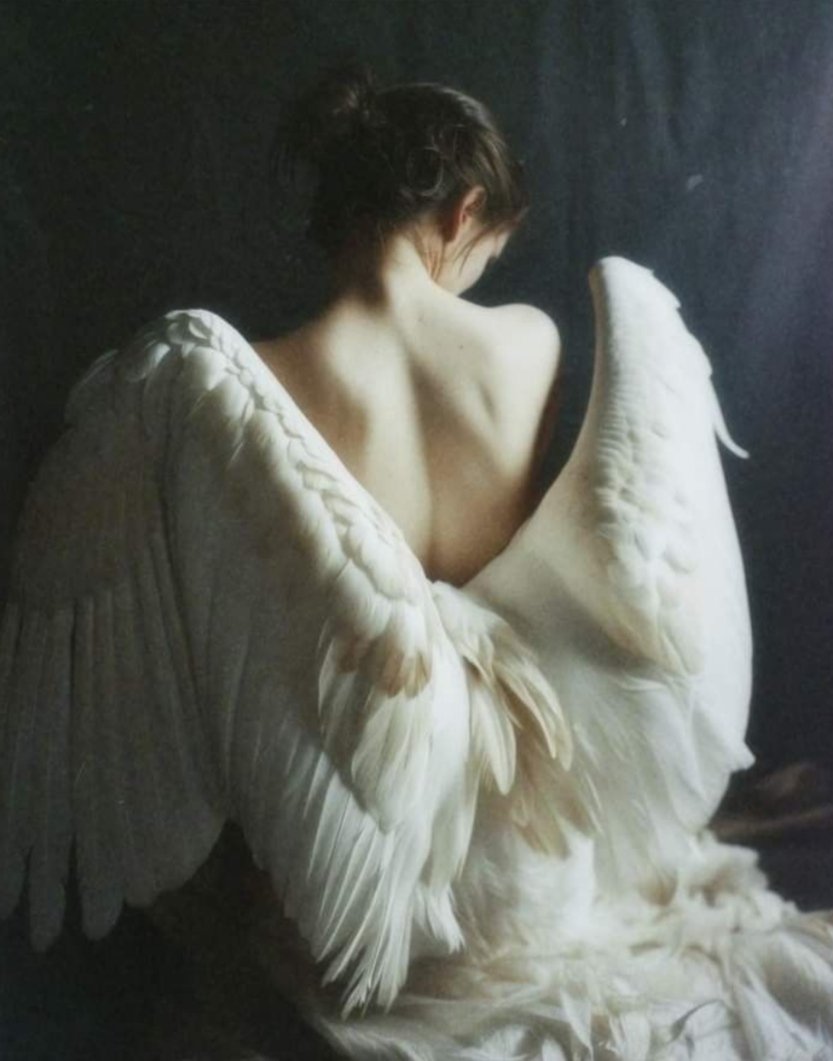 “When we are touched by something it’s as if we’re being brushed by an angel’s wings.”

- Rita Dove