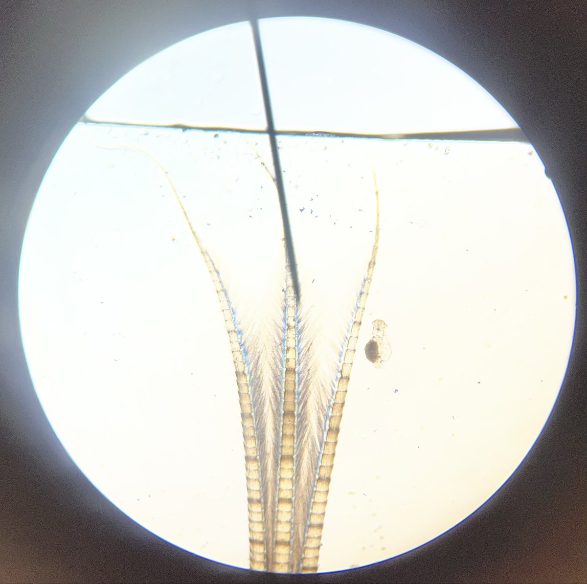 STEM | Durlston School tweet media