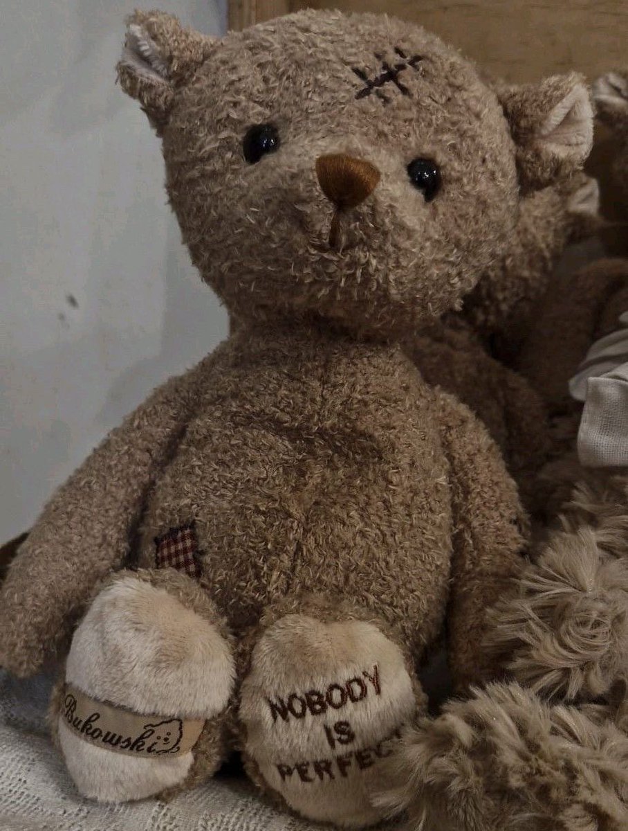 daily teddy bear daniel molloy tweet media
