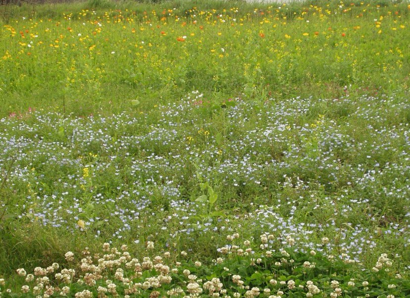 ca (@cltarv) on Twitter photo 