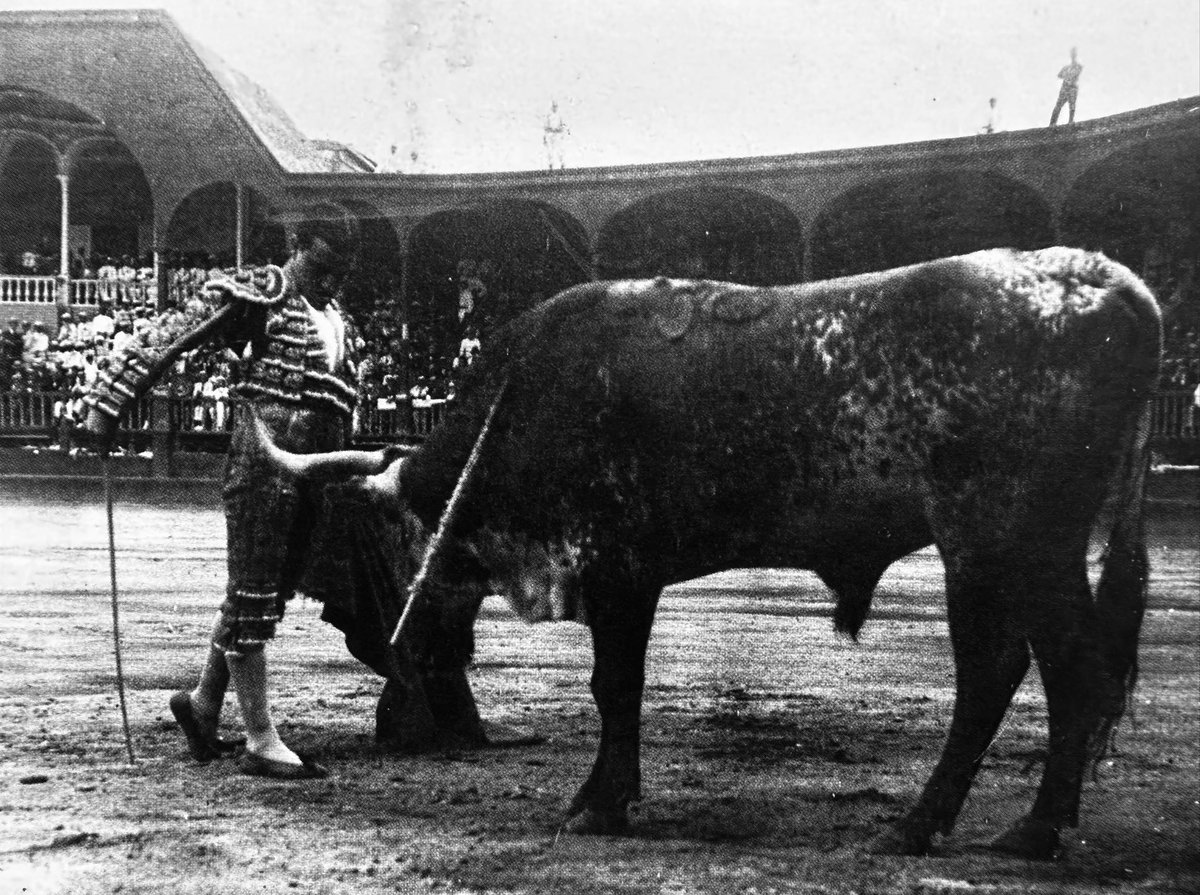 El pecho por delante, la figura erguida y el cuerpo tan gallardo y tan torero delante de los pitones. Un cite de Juan Belmonte en la plaza de Acho, en Lima. Su postura es tan soberbia que parece hasta impactar al propio animal, algo encogido y reculado. La pureza tan descarnada.