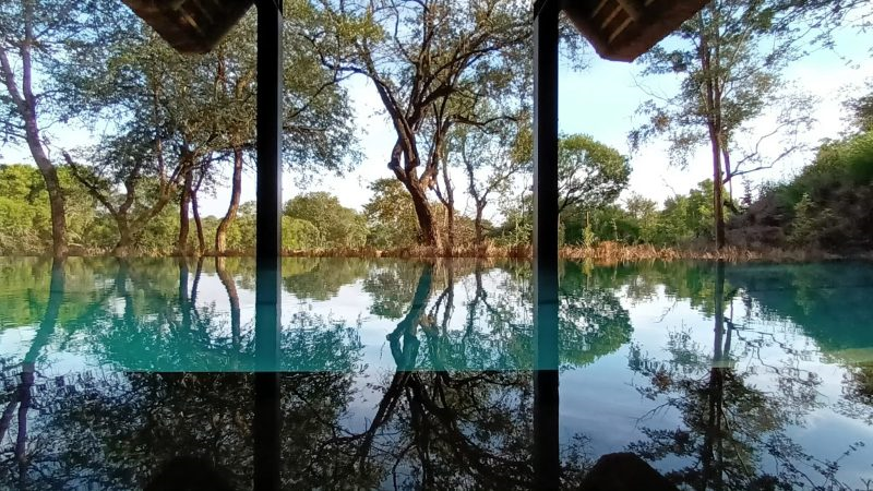 JoziStyle's tweet photo. Drienie Viljoen introduces a new standard in Eco-Luxury at Monwana Game Lodge.
Monwana is redefining eco-conscious luxury safari travel. GM Drienie Viljoen shares Monwana in the Greater Kruger National Park.
#TravelJoziStyle | #TravelMonwanaStyle
https://t.co/yiiPcX6i0a https://t.co/WC2loCLUP2
