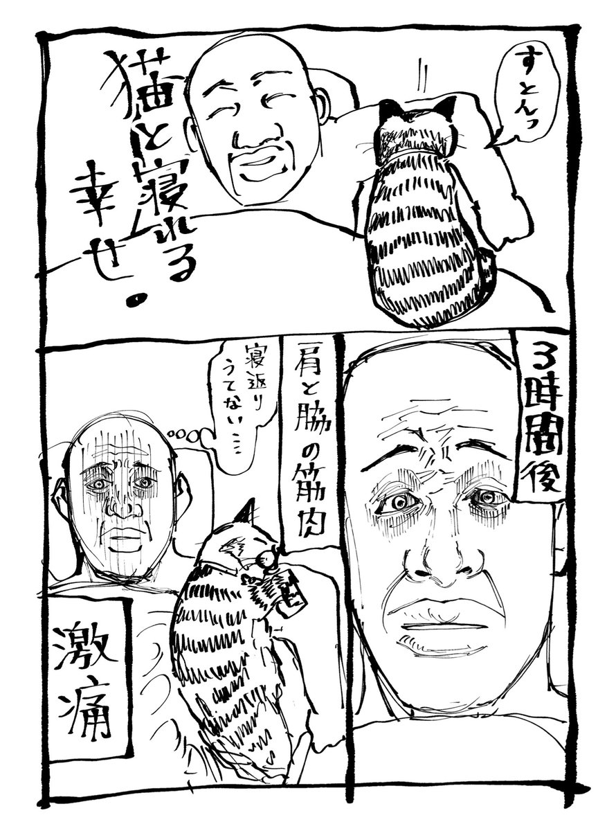 猫と一緒に寝たよ 