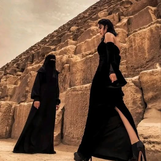 النفس الملابس ونفس الحجم تقريبا 
لكن الفرق ان احداهما له عقل وتمضي قدما في الحياة .
الاخري فضلت تغطية راسها وعقلها لتعيش في الماضي السحيق .