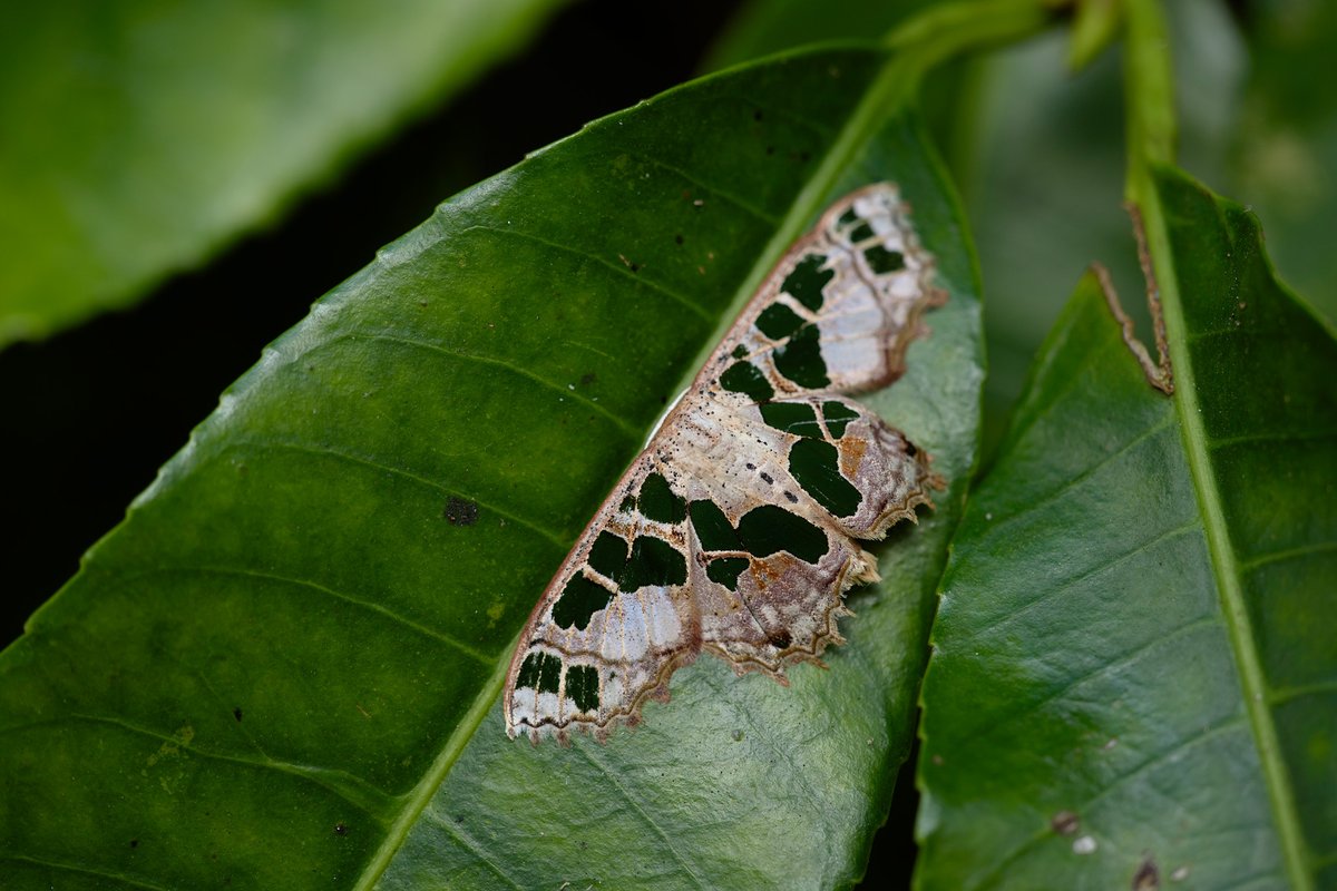 December 2015, Thailand