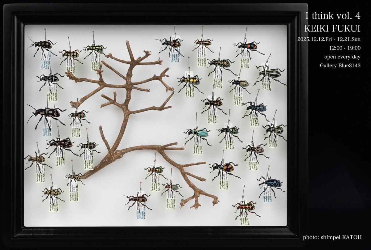 Keiki FUKUI 福井敬貴 tweet media