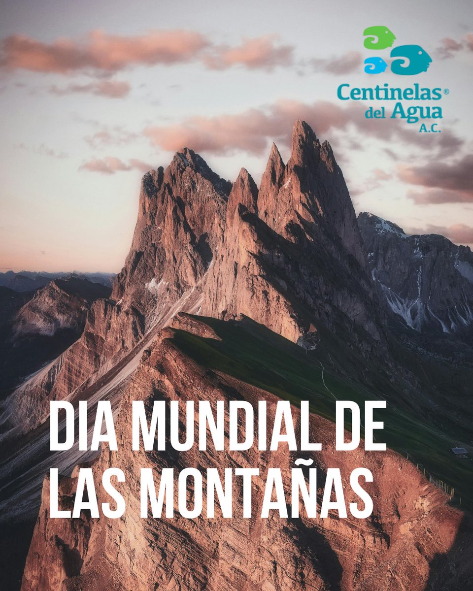 Hagamos consciencia y no olvidemos que las montañas desempeñan un papel crítico en el ciclo hidrológico global y nuestra supervivencia!

Son el suministro de #aguadulce para la mitad de la población mundial y la estabilidad para los ecosistemas mundiales💧