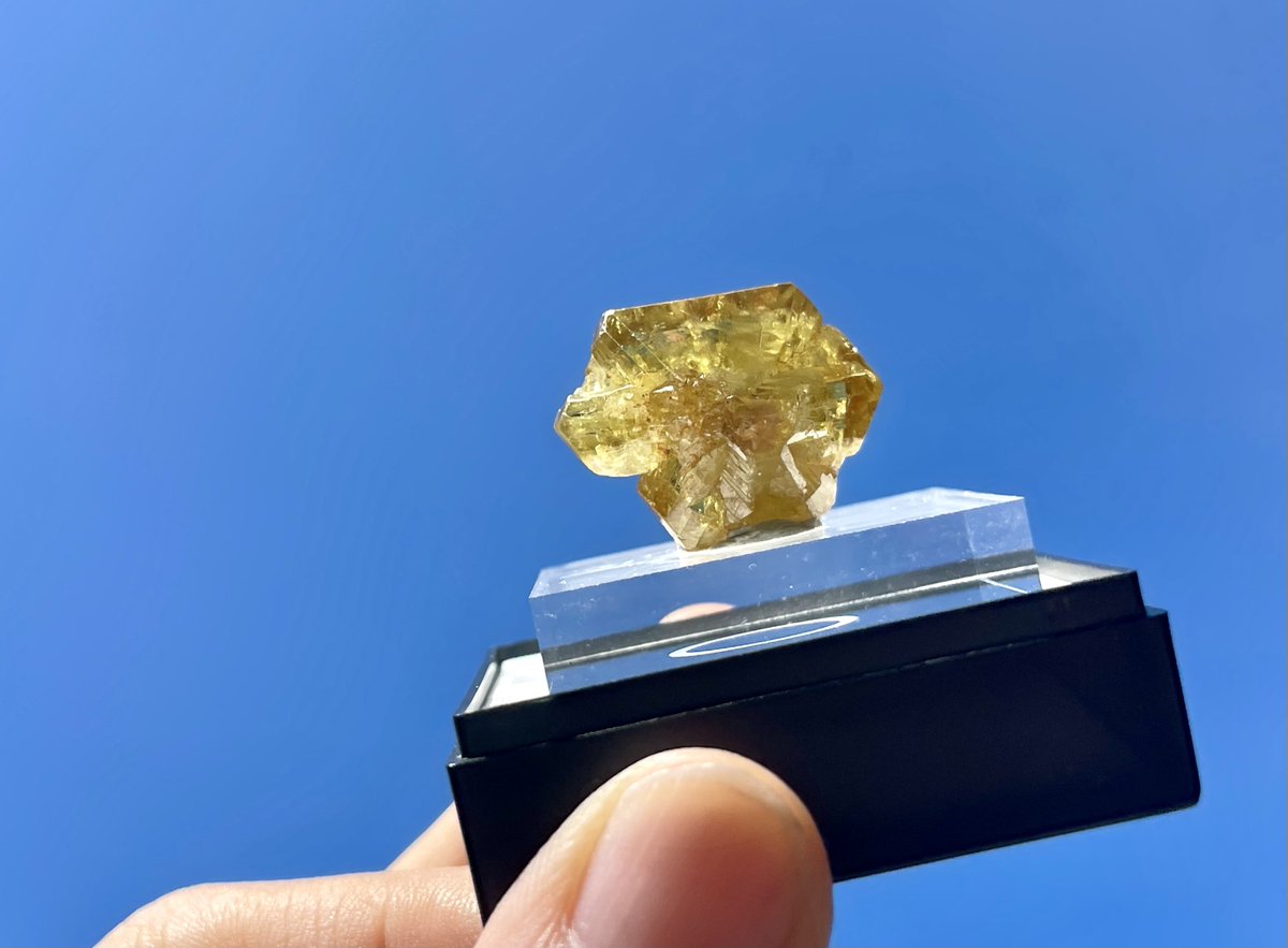 ころも(黒糖焼酎も美味しい) (@abokado23tenpur) / Posts / X