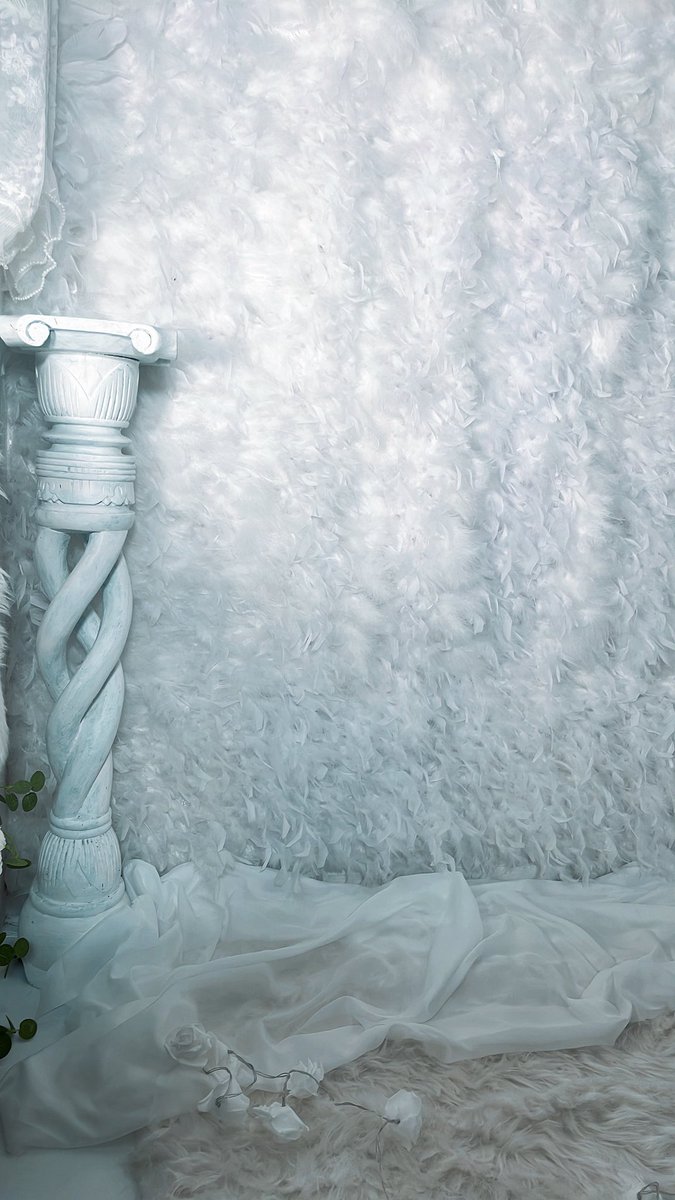 すたじお金魚@現在2Ｆのみ営業中！ tweet media