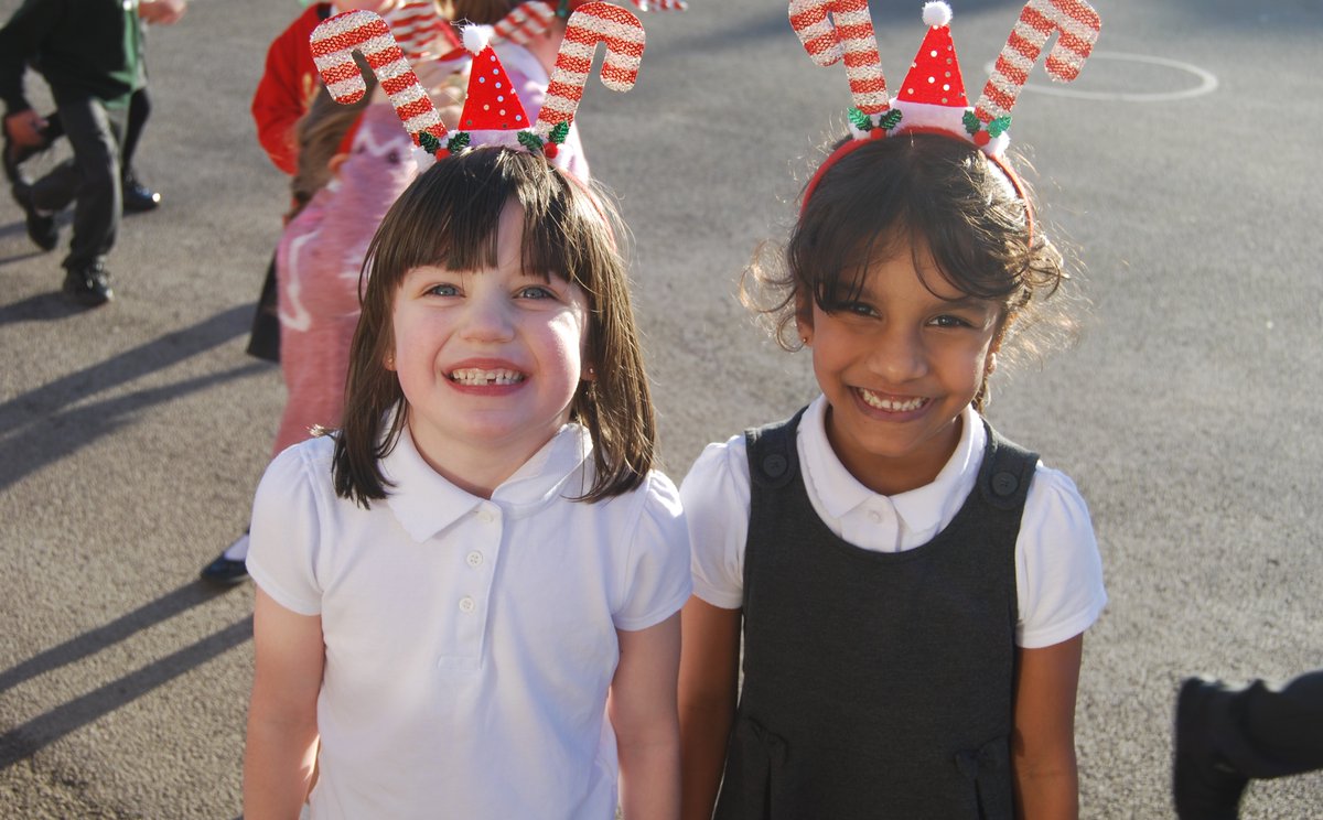 Ivy Bank Primary tweet media