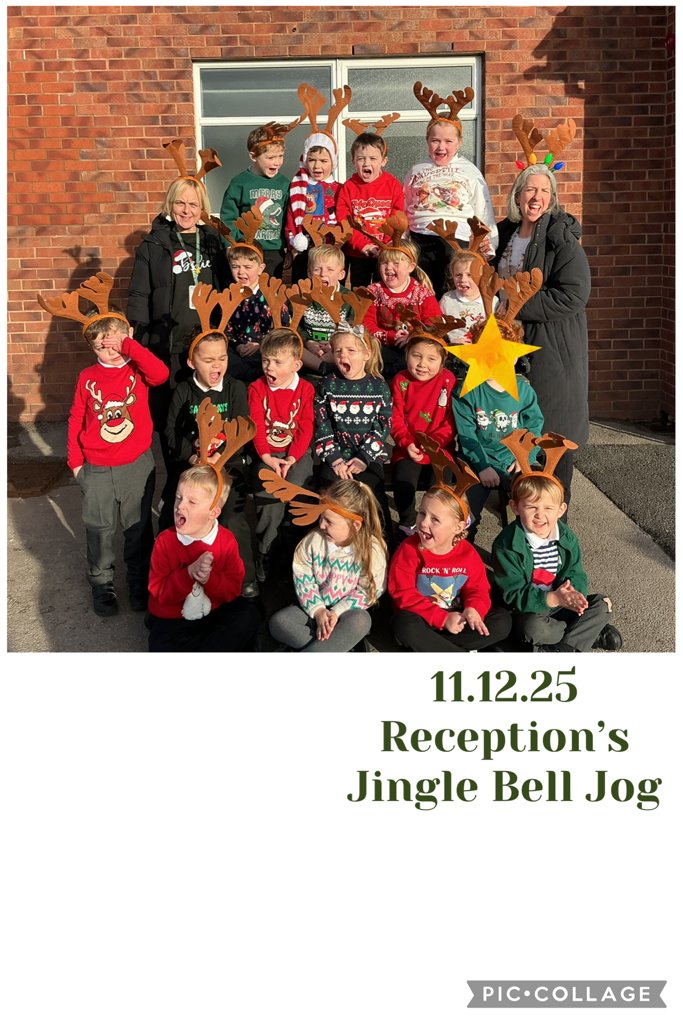 Ivy Bank Primary tweet media