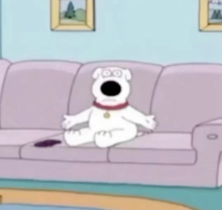 ๐๐๐ tweet media