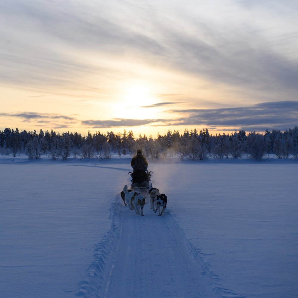 Transun's tweet image. Start 2026 with a Northern Lights adventure! 🌌 Our short breaks to True Lapland make the perfect post-Christmas escape... plus are a wonderful way to step into the new year inspired! Find full details and a schedule of dates here 👉 transun.co.uk/northern-light…