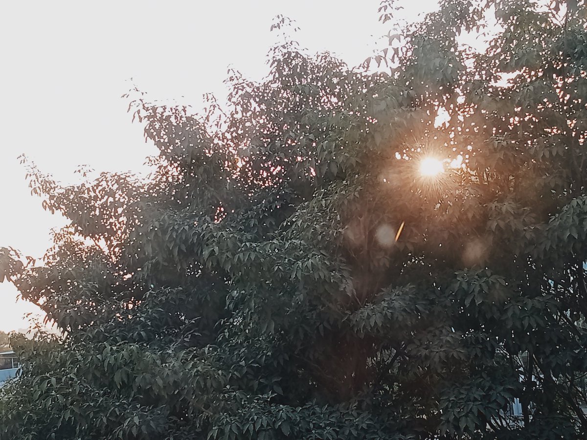 Kookie_twt_OT7's tweet photo. #SunlightForHobi ♡ #TGLIWBTS https://t.co/ORJ8thAzgk